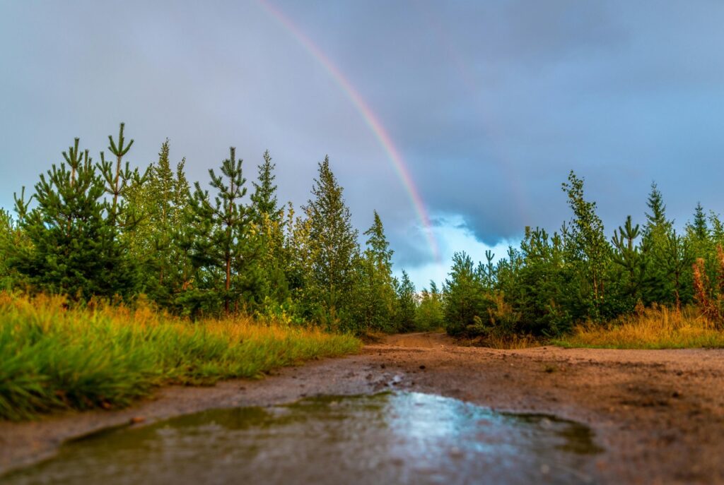 Ein unbefestigter Weg mit einer Pfütze erstreckt sich zwischen grünen Bäumen unter einem wolkenverhangenen Himmel, in dessen Hintergrund ein schwacher Regenbogen zu sehen ist.