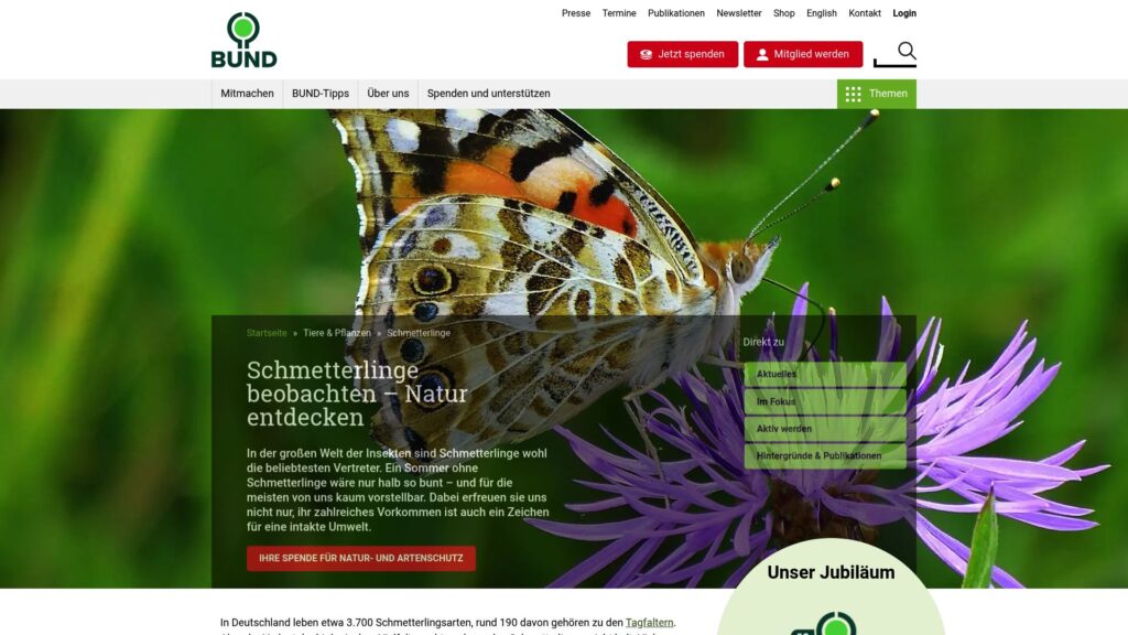 Eine Nahaufnahme eines Schmetterlings auf einer lila Blume, die auf der Startseite der BUND-Website mit grüner und roter Menüführung und deutschem Text über Schmetterlinge zu sehen ist.